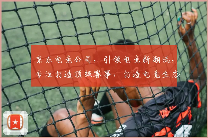 京东电竞公司，引领电竞新潮流，专注打造顶级赛事，打造电竞生态圈，助力电竞产业发展。