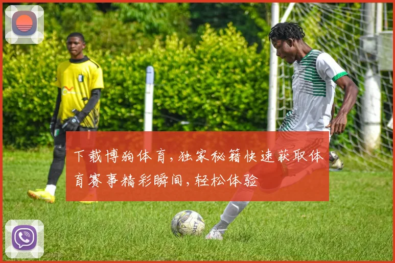 下载博狗体育,独家秘籍快速获取体育赛事精彩瞬间,轻松体验
