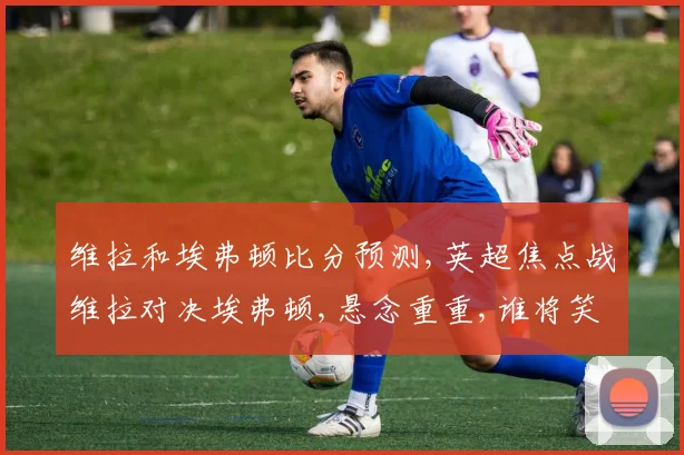 维拉和埃弗顿比分预测,英超焦点战维拉对决埃弗顿,悬念重重,谁将笑到最后