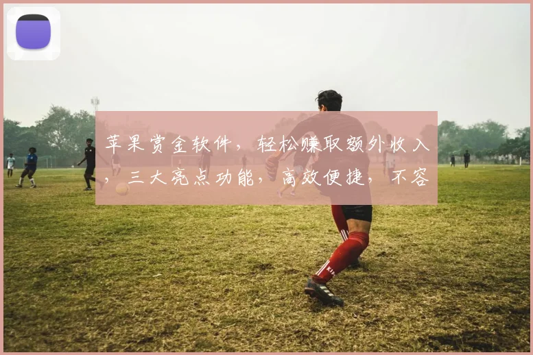 苹果赏金软件，轻松赚取额外收入，三大亮点功能，高效便捷，不容错过，体验非凡